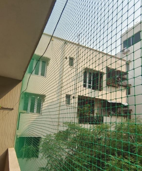 Pigeon Safety Nets