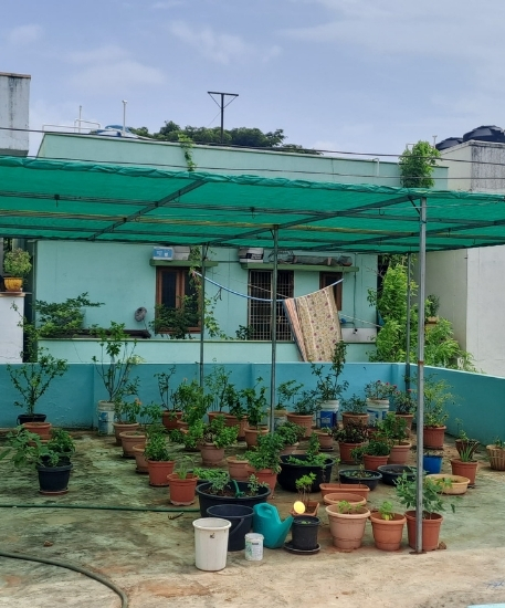 Industrial Safety Nets