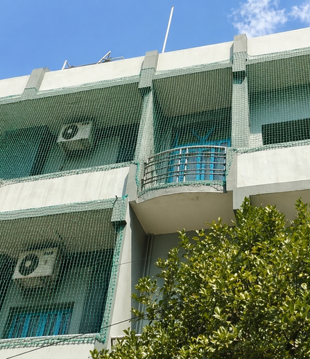 NRR Safety Nets Project